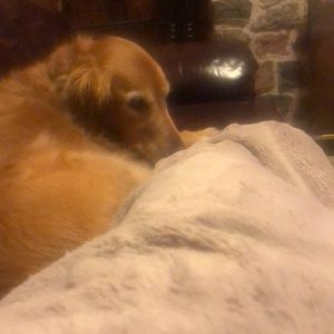 Meet your Posher, Mary